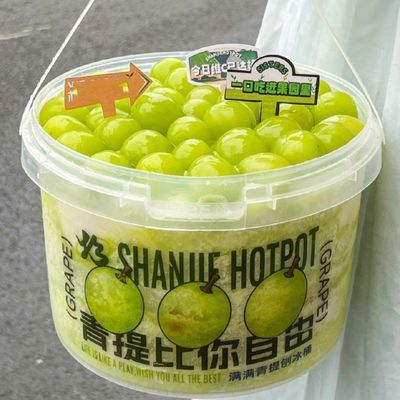 プリント用500ml5Lプラスチック容器バケツ シルクスクリーム/熱移転/IML