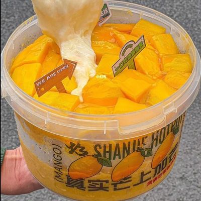 トランスペアレント トー・ゴー コンテナ 防犯蓋付きプラスチックバケツ